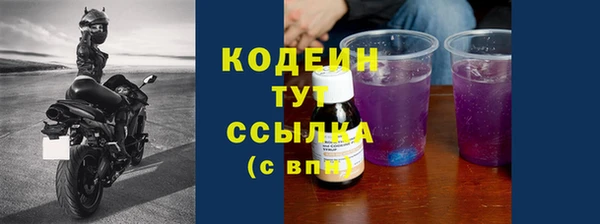 метадон Няндома