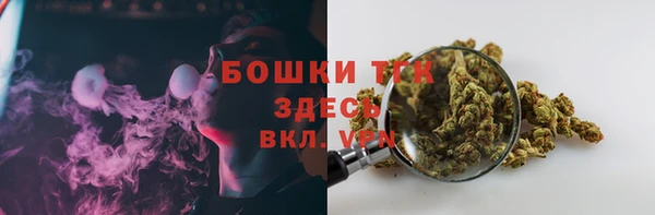 ПСИЛОЦИБИНОВЫЕ ГРИБЫ Вяземский