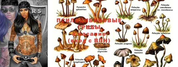 мескалин Нязепетровск