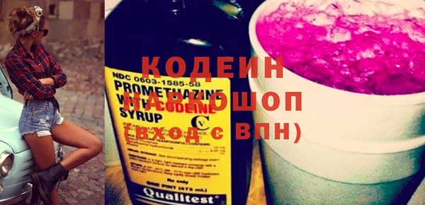 метадон Няндома
