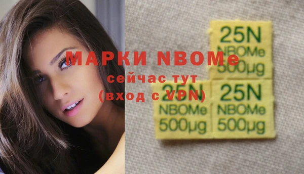 метадон Няндома