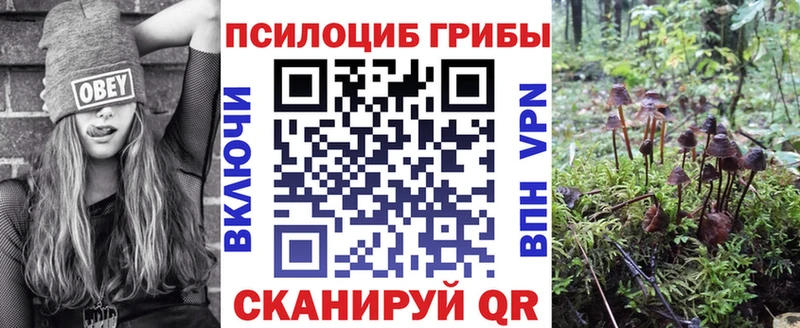 купить наркотики сайты  Торжок  Псилоцибиновые грибы GOLDEN TEACHER 