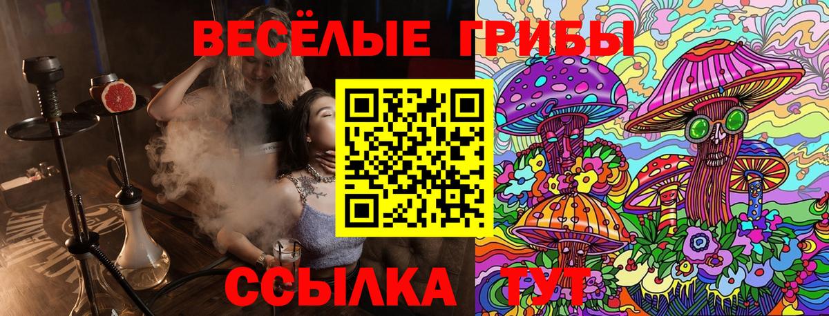 Псилоцибиновые грибы Psilocybine cubensis  Псилоцибиновые грибы Psilocybine cubensis  Торжок 