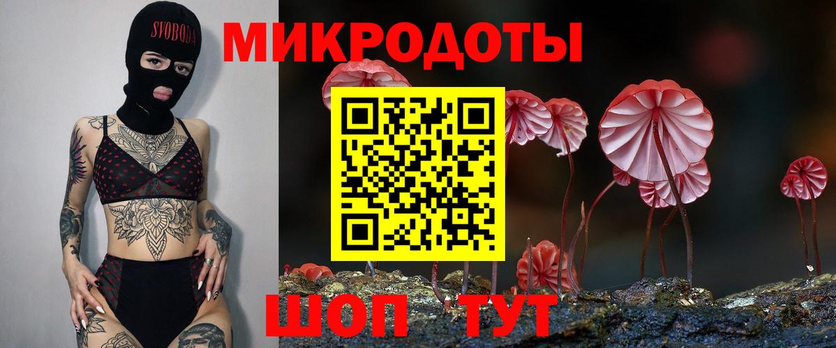 Галлюциногенные грибы Psilocybe  Вход с VPN  Торжок 