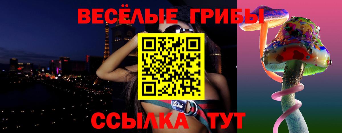 Псилоцибиновые грибы мухоморы Торжок