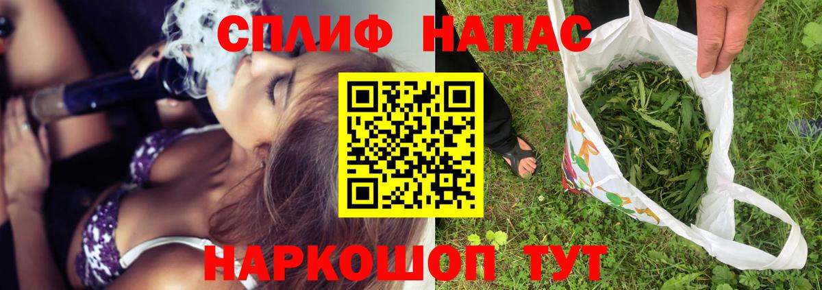 Канабис OG Kush Торжок